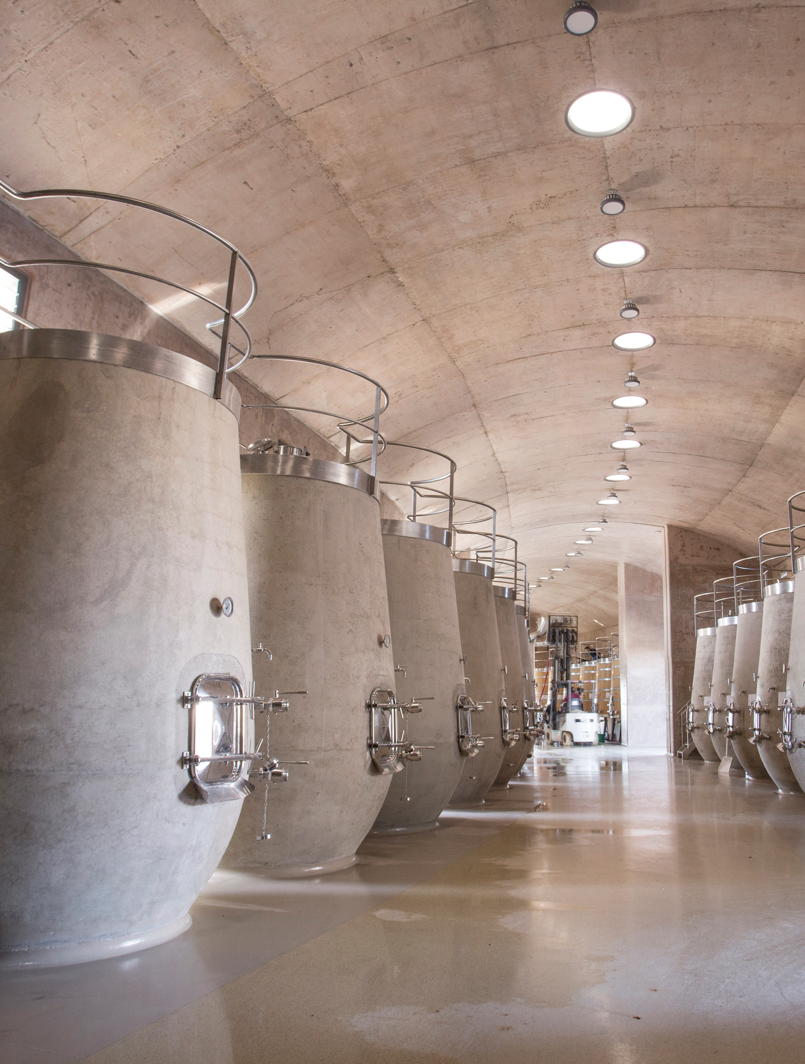 Piletas de concreto en la nave de fermentación